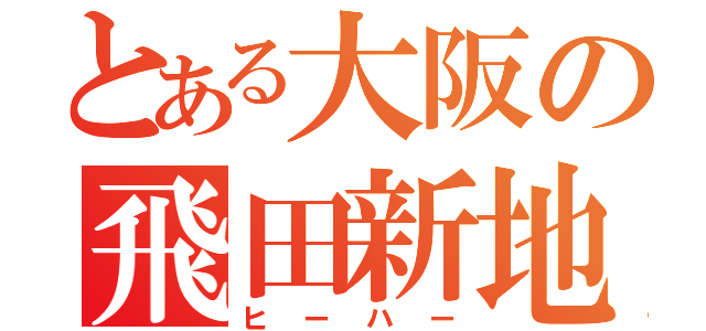 とある大阪の飛田新地（ヒーハー）