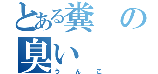 とある糞の臭い（うんこ）