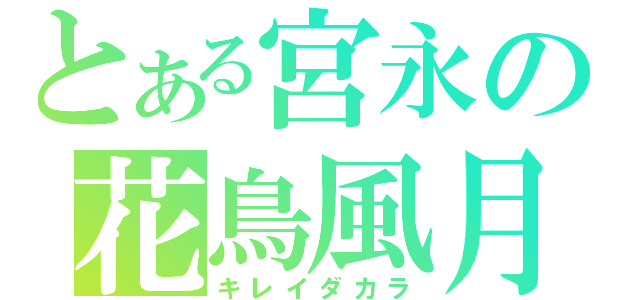 とある宮永の花鳥風月（キレイダカラ）