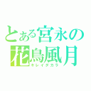 とある宮永の花鳥風月（キレイダカラ）