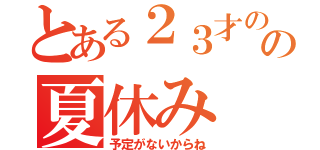 とある２３才のの夏休み（予定がないからね）