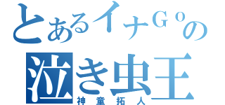 とあるイナＧｏの泣き虫王子（神童拓人）