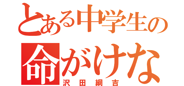 とある中学生の命がけな日々（沢田綱吉）