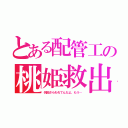 とある配管工の桃姫救出（何回さらわれてんだよ、もう…）