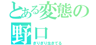 とある変態の野口（ぎりぎり生きてる）