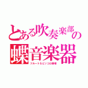 とある吹奏楽部の蝶音楽器奏者（フルート＆ピッコロ奏者）