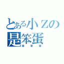 とある小Ｚの是笨蛋（笨笨笨）