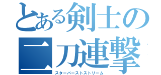 とある剣士の二刀連撃（スターバーストストリーム）