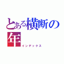 とある横断の年（インデックス）