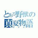 とある野獣の真夏物語（ビデオ）