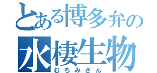 とある博多弁の水棲生物（むろみさん）