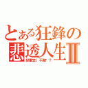 とある狂鋒の悲透人生Ⅱ（好雷文（不做嗎？）