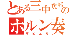 とある三中吹部のホルン奏者（ザビエル）