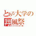 とある大学の翔風祭（ゴミのたまり場）