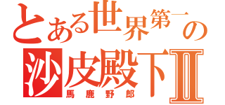 とある世界第一の沙皮殿下Ⅱ（馬鹿野郎）