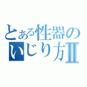 とある性器のいじり方Ⅱ（）