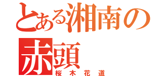 とある湘南の赤頭（桜木花道）