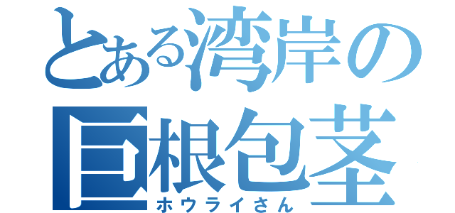 とある湾岸の巨根包茎（ホウライさん）