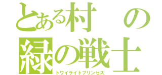 とある村の緑の戦士（トワイライトプリンセス）