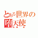 とある世界の堕天使（佐藤 楓）