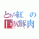 とある紅の巨尻豚肉（ハム）