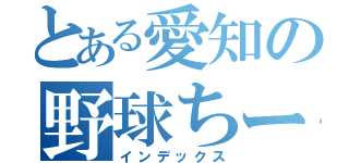 とある愛知の野球ちーむ（インデックス）