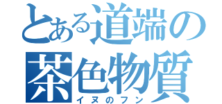 とある道端の茶色物質（イヌのフン）