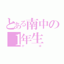 とある南中の１年生（かほ）