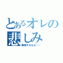 とあるオレの悲しみ（無視するなよ……）