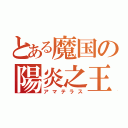 とある魔国の陽炎之王（アマテラス）