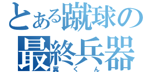 とある蹴球の最終兵器（翼くん）