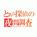 とある探偵の夜間調査（ナイトスクープ）