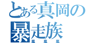 とある真岡の暴走族（嵐 嵐 嵐）