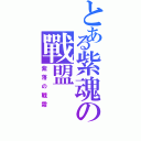 とある紫魂の戰盟Ⅱ（紫落の戰霜）