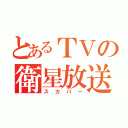 とあるＴＶの衛星放送（スカパー）