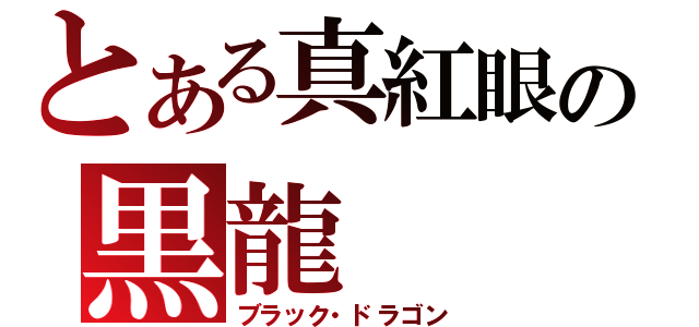 とある真紅眼の黒龍（ブラック・ドラゴン）