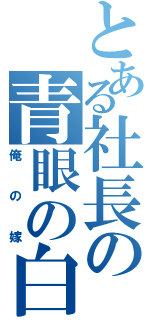 とある社長の青眼の白竜（俺の嫁）