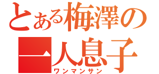 とある梅澤の一人息子（ワンマンサン）