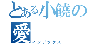 とある小饒の愛（インデックス）