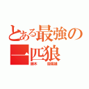 とある最強の一匹狼（鏑木   旋風雄）