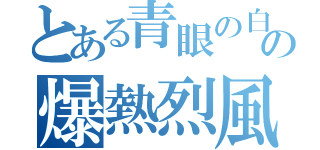 とある青眼の白龍の爆熱烈風（）