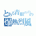 とある青眼の白龍の爆熱烈風（）