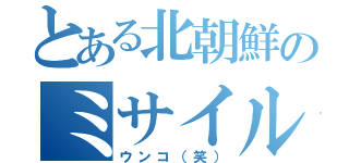 とある北朝鮮のミサイル（ウンコ（笑））