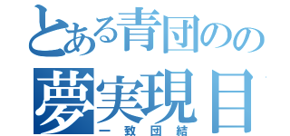 とある青団のの夢実現目録（一致団結）