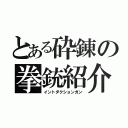 とある砕錬の拳銃紹介（イントダクションガン）