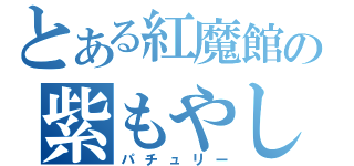 とある紅魔館の紫もやし（パチュリー）