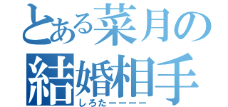 とある菜月の結婚相手（しろたーーーー）