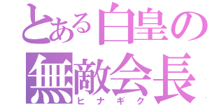 とある白皇の無敵会長（ヒナギク）