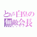 とある白皇の無敵会長（ヒナギク）