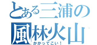 とある三浦の風林火山（かかってこい！）